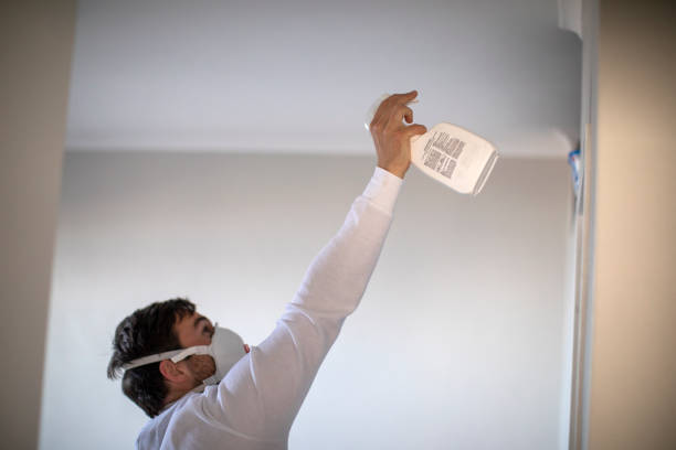 Best HVAC Mold Remediation in Hauser, ID
