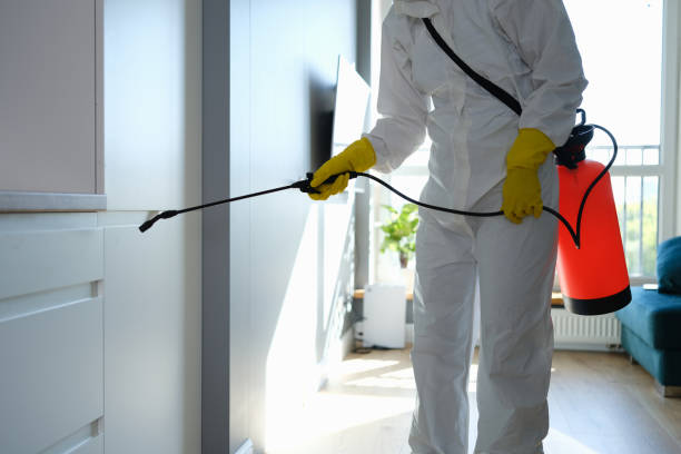 Professional Mold Remediation in Hauser, ID