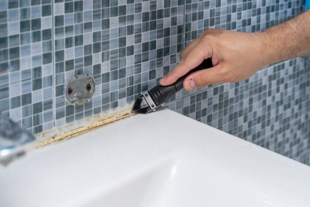 Best Preventive Mold Services in Hauser, ID